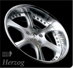 Herzog